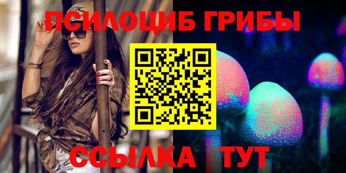 Соль-Илецк  Псилоцибиновые грибы MAGIC MUSHROOMS  Псилоцибиновые грибы прущие грибы  где найти   Вход с VPN 